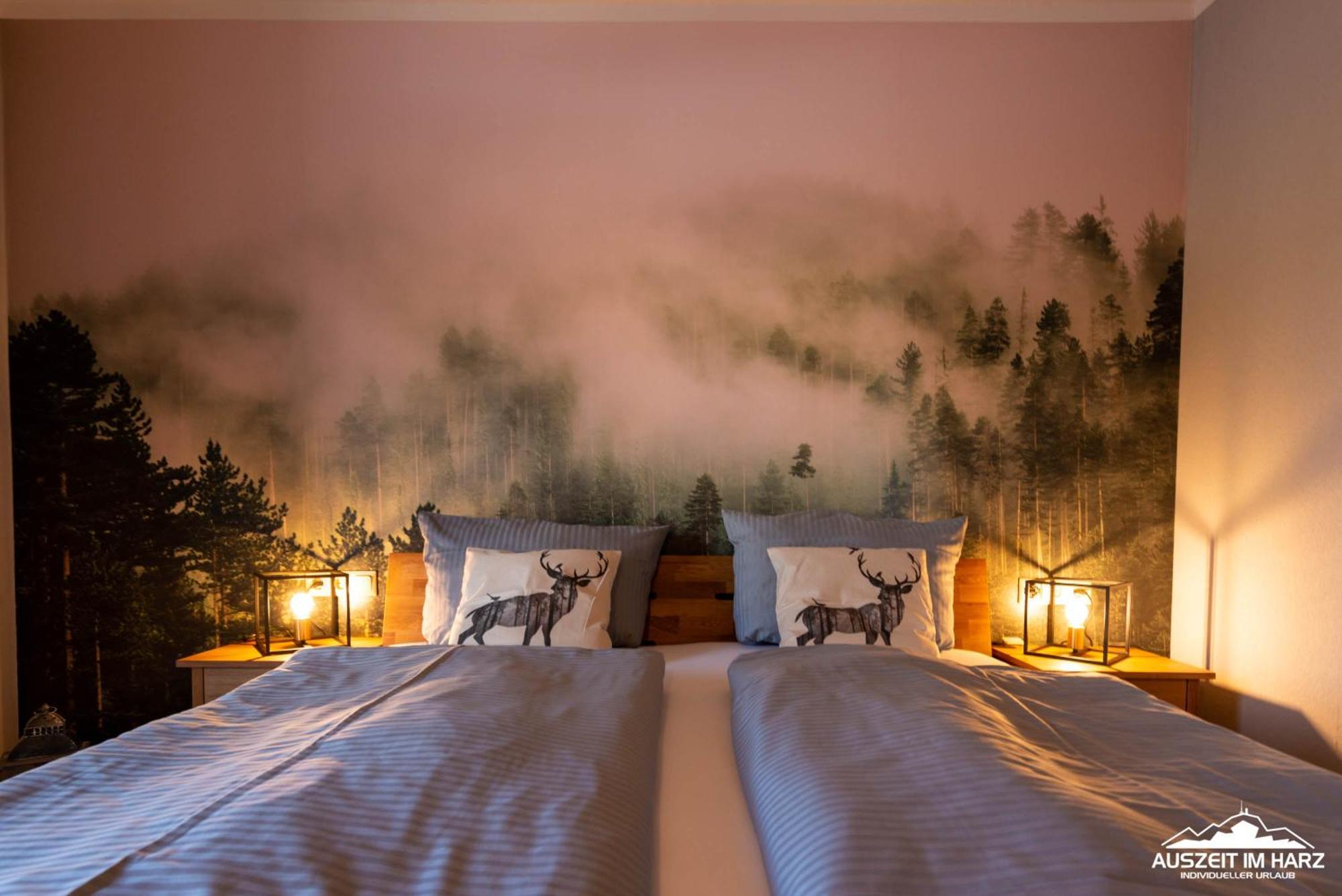 Auszeit-Im-Harz Haus 5 Wohnung 22 Stiege Eksteriør billede